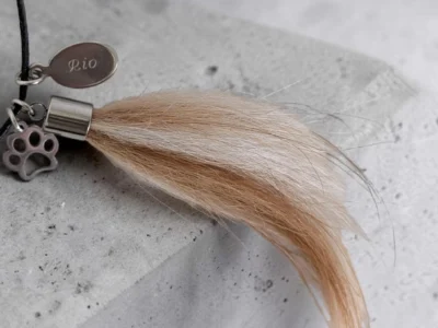 Schmuck mit Tierhaaren Anhänger