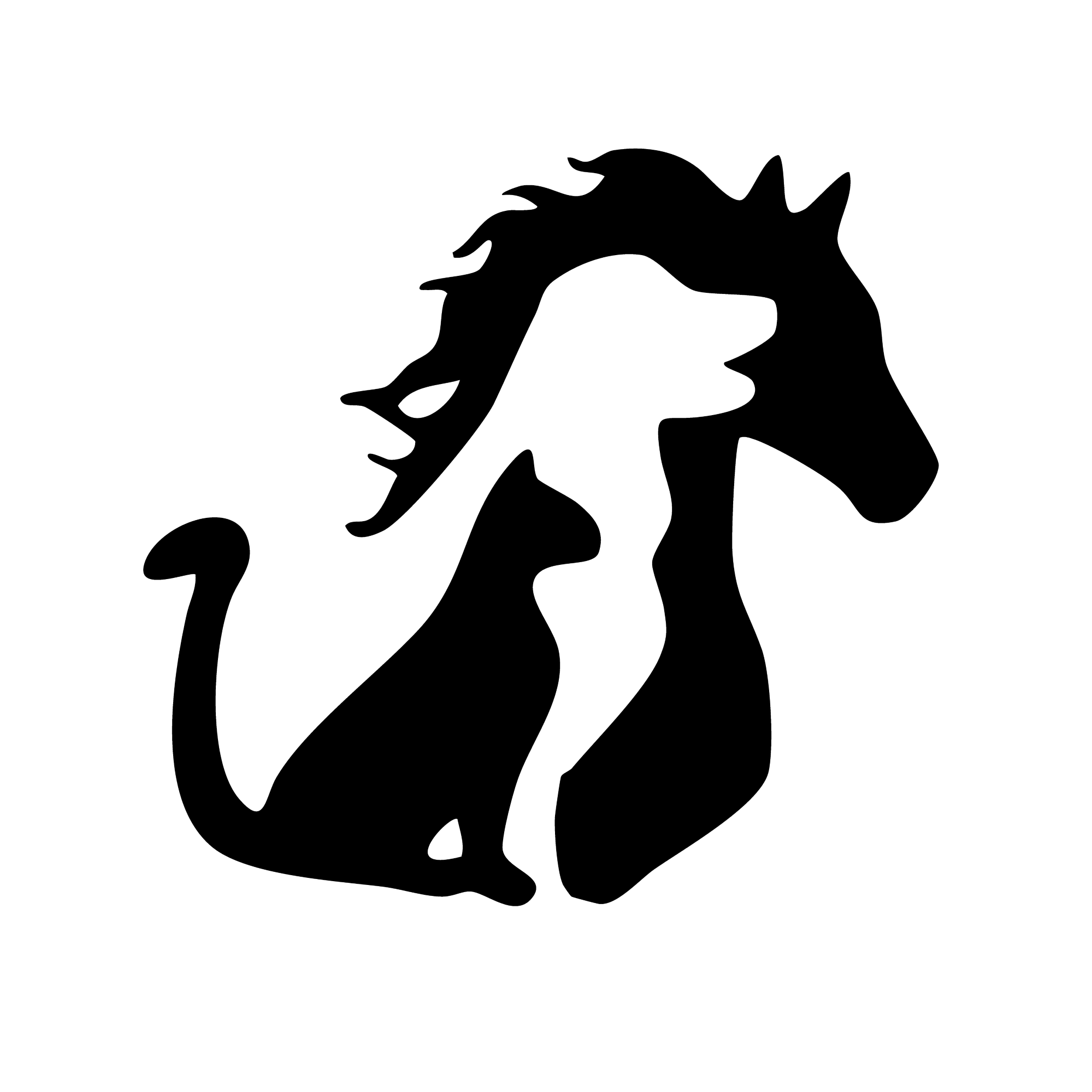 Pferdehaarschmuck24